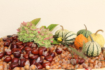 Herbstfrüchte