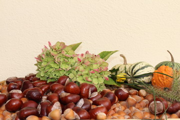 Herbstfrüchte