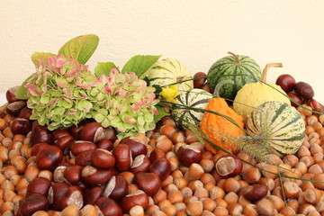 Herbstfrüchte
