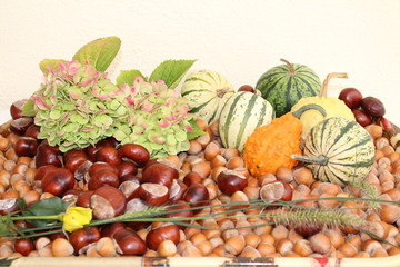 Herbstfrüchte