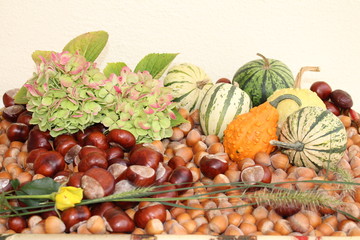 Herbstfrüchte