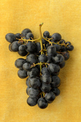 Dark purple grapes