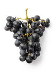 Dark purple grapes