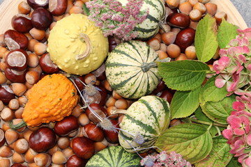 Herbstfrüchte