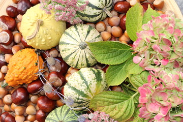 Herbstfrüchte