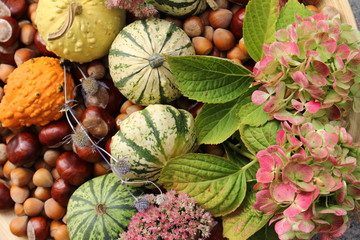 Herbstfrüchte