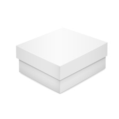 white blank paper box