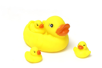 Bath toy, Rubber duck family