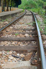 railway in forest