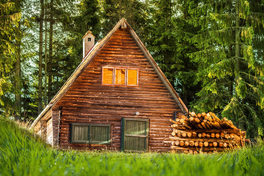 Wood House In The Forest