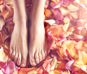 Spa compositions of sexy female legs and fallen petals