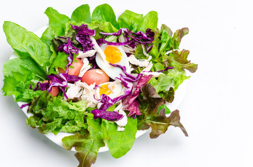 Fresh salad with boiled egg in a white plate