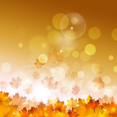 Fototapeta na wymiar Autumn Yellow Leaves on Golden Background