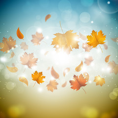 Fototapeta na wymiar Golden Autumn Leaves