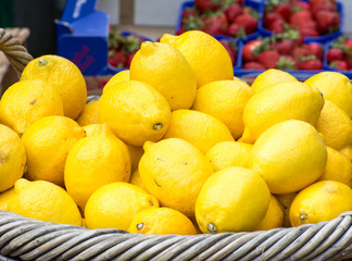 Lemons at the Market
