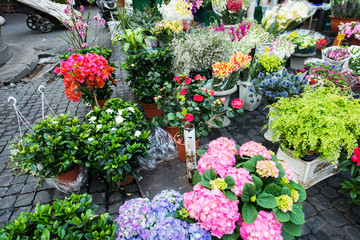 Street flower shop with colourful flowers