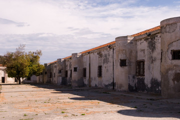 Fototapeta premium Asinara