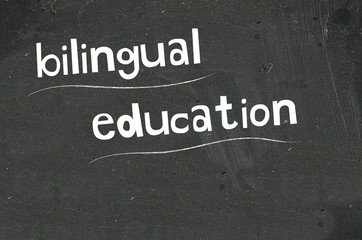 Fototapeta na wymiar bilingual education
