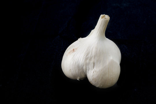 にんにく　garlic