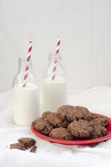 Oatmeal chocolate cookies, selective focus