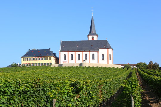 Hochheim am Main, Sankt Peter und Paul (Herbst 2014)