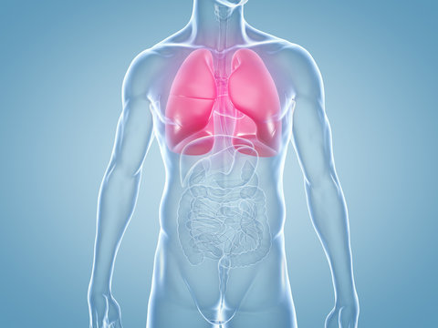 Lungenentz&uuml;ndung: anatomische 3D-Illustration