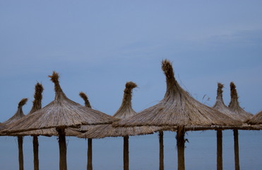 Thatched umbrellas in the wind