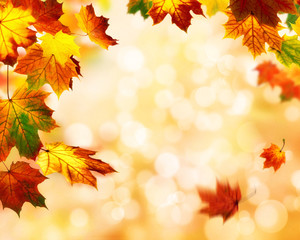 Herbst Bokeh Hintergrund verziert mit buntem Laub