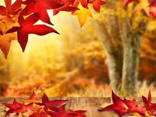 Herbstliche Idylle