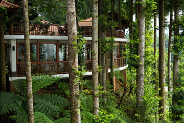 tropical green house