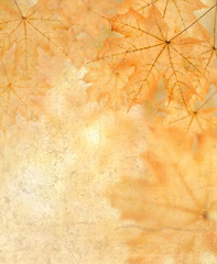 autumn background
