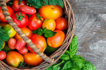 Fototapeta na wymiar multicolored tomatoes on wooden background