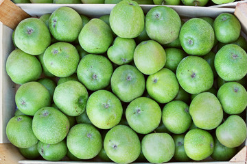 Green apples
