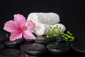 Beautiful spa still life of pink hibiscus, branch fern, drops an