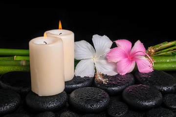 spa concept of zen basalt stones, white and pink hibiscus flower