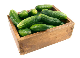 Cucumbers in an old box.