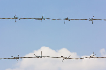 Barb wire on blue sky background