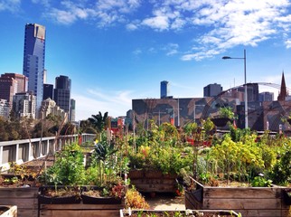 garden in Melbourne