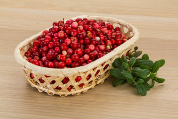 Cowberry