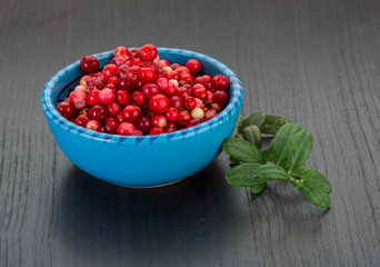 Cowberry