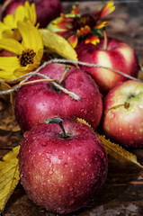 harvested crop rustic apples