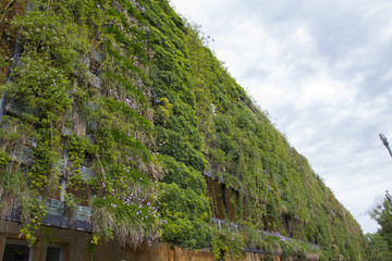 Green wall in an sustainable building