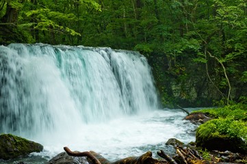 Obraz premium Wodospad w lesie