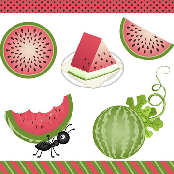 Watermelon Digital Clipart