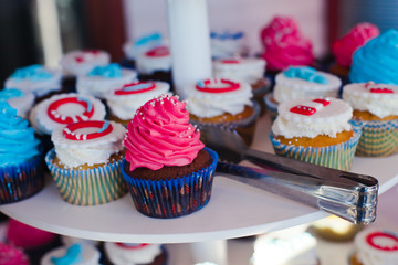 Beautiful multicolored decorated baked sweet tasty cupcake