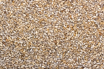 Peeled sunflower seeds