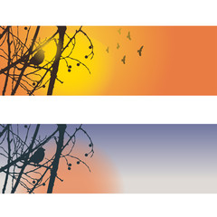 Collection of autumn banners