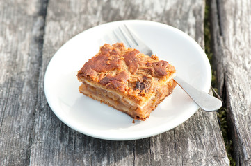 Piece of apple pie/cake with cinnamon in white porcelain plate