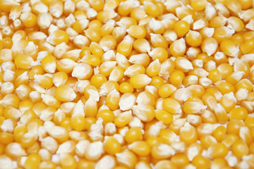 Goldcorn