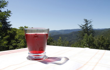 Verre de sirop de grenadine